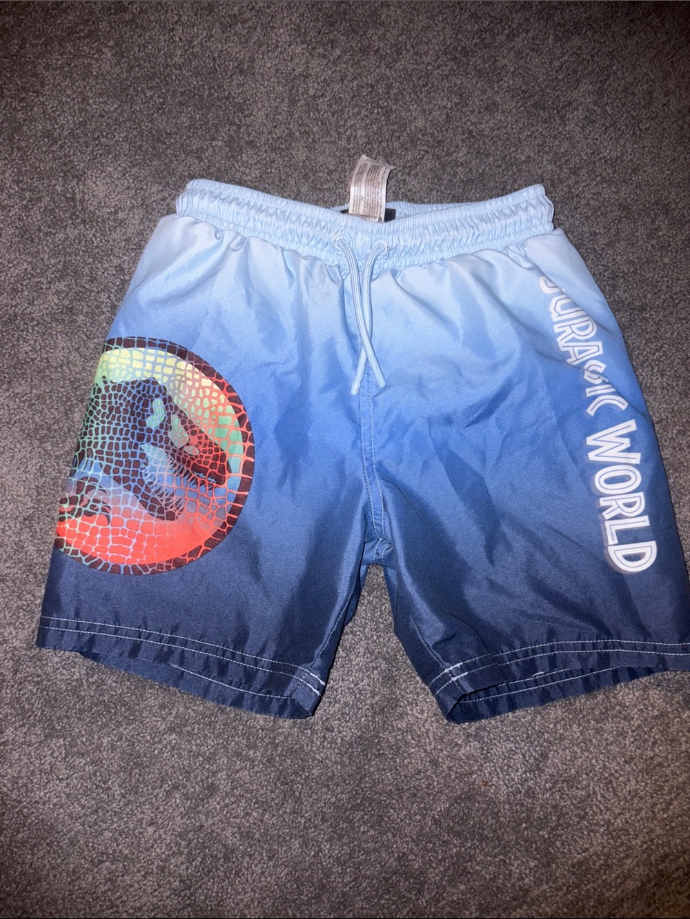 Jurassic World Gradient Blue Boys' Swim Trunks